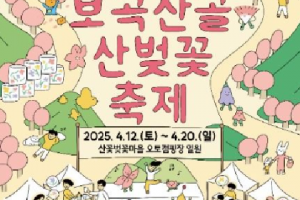在清淡的山樱花下绽放爱情和友情之花吧!“锦山宝谷山谷樱花节”