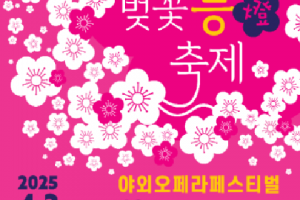 旋律优美的良才川，首尔三大樱花节“良才川樱花节”