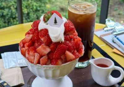 韩国夏季必吃雪冰店合集