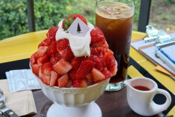 韩国夏季必吃雪冰店合集