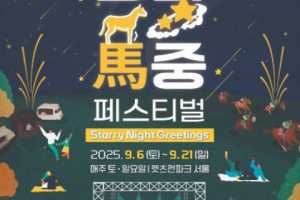 Let's Run Park 首尔秋季夜间庆典 