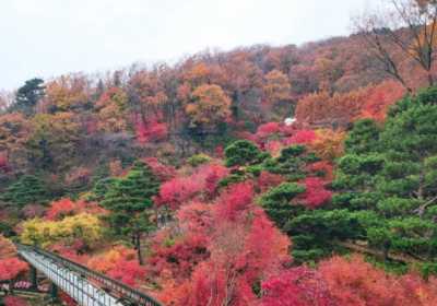 首尔秋季赏枫6大绝美景点