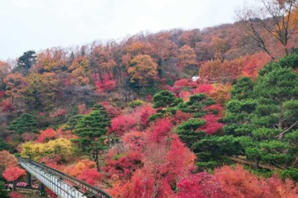 首尔秋季赏枫6大绝美景点