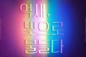 紫芒，染上光芒-首尔紫芒庆典