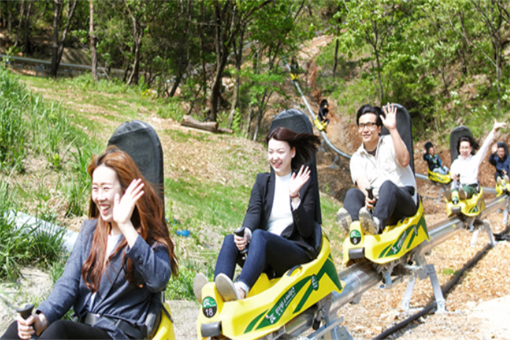 森林单轨1 森林单轨1