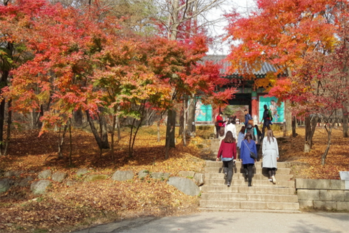 德崇山2 德崇山2