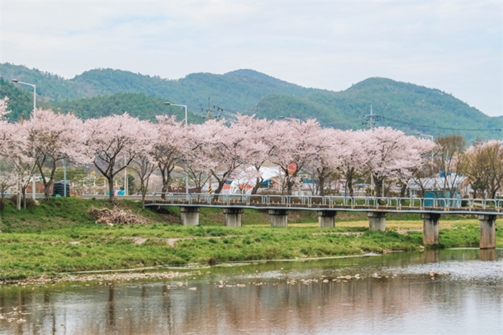 沙坪桥2 沙坪桥2