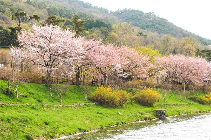 东九里湖水公园2 东九里湖水公园2