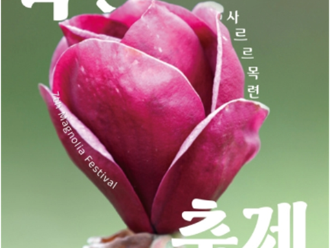 拥有世界上最多的木莲植物种类春天停留时间最长的地方“千里浦树木园木莲节”