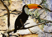 韩国首尔zoolung zoolung室内动物园