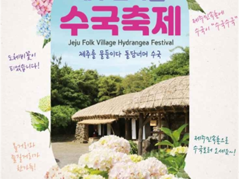 在这里可以欣赏到以济州草房为背景的五颜六色的绣花菊“济州民俗村水国庆典”