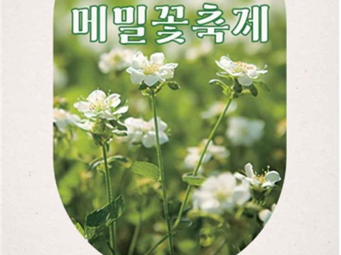 济州最具济州特色的地方“济州民俗村荞麦花庆典”