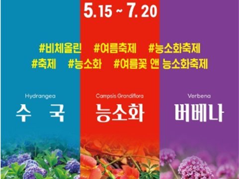 在下着朱红色花雨的花路上享受凌霄花庆典“夏季花&凌霄花节”