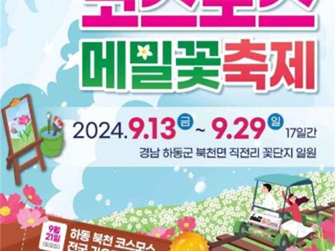 别天地河东花天地北川“河东北川波斯菊荞麦花庆典”