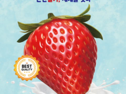 论山草莓，连接世界“论山草莓节”