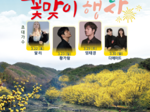 去山茱萸村找春天吧“义城山茱萸村送花活动”