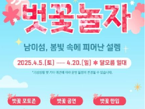 南怡岛的朋友来赏花吧