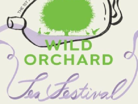 保持自然，单纯“济州绿茶田庆典狂野茶节”