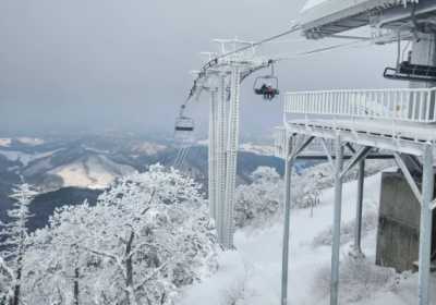 大关岭三养牧场+发旺山缆车&天空步道体验一日游攻略