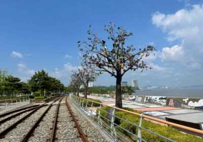 仁川永宗岛铁路自行车&喂海鸥一日游攻略