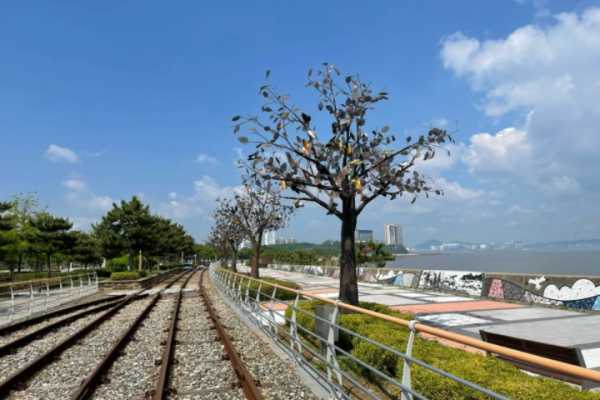 仁川永宗岛铁路自行车&喂海鸥一日游攻略