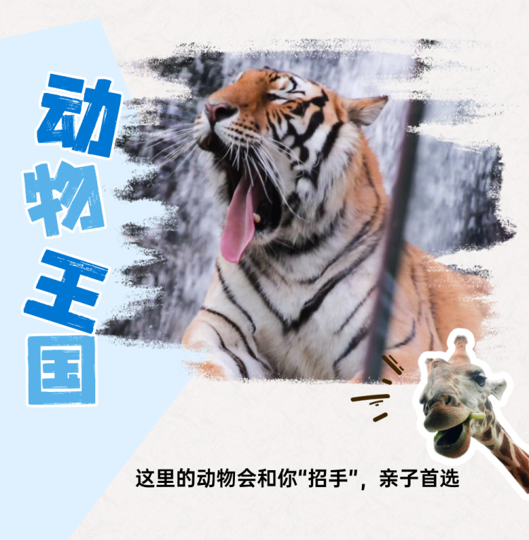 稿定设计-5 稿定设计-5