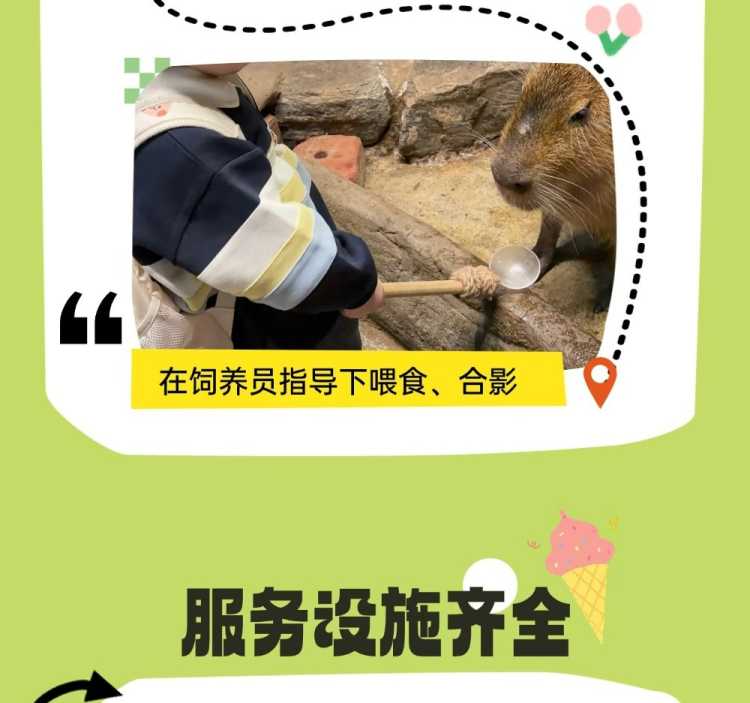 切图_zoolungzoolung-5