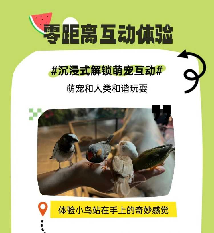 切图_zoolungzoolung-4