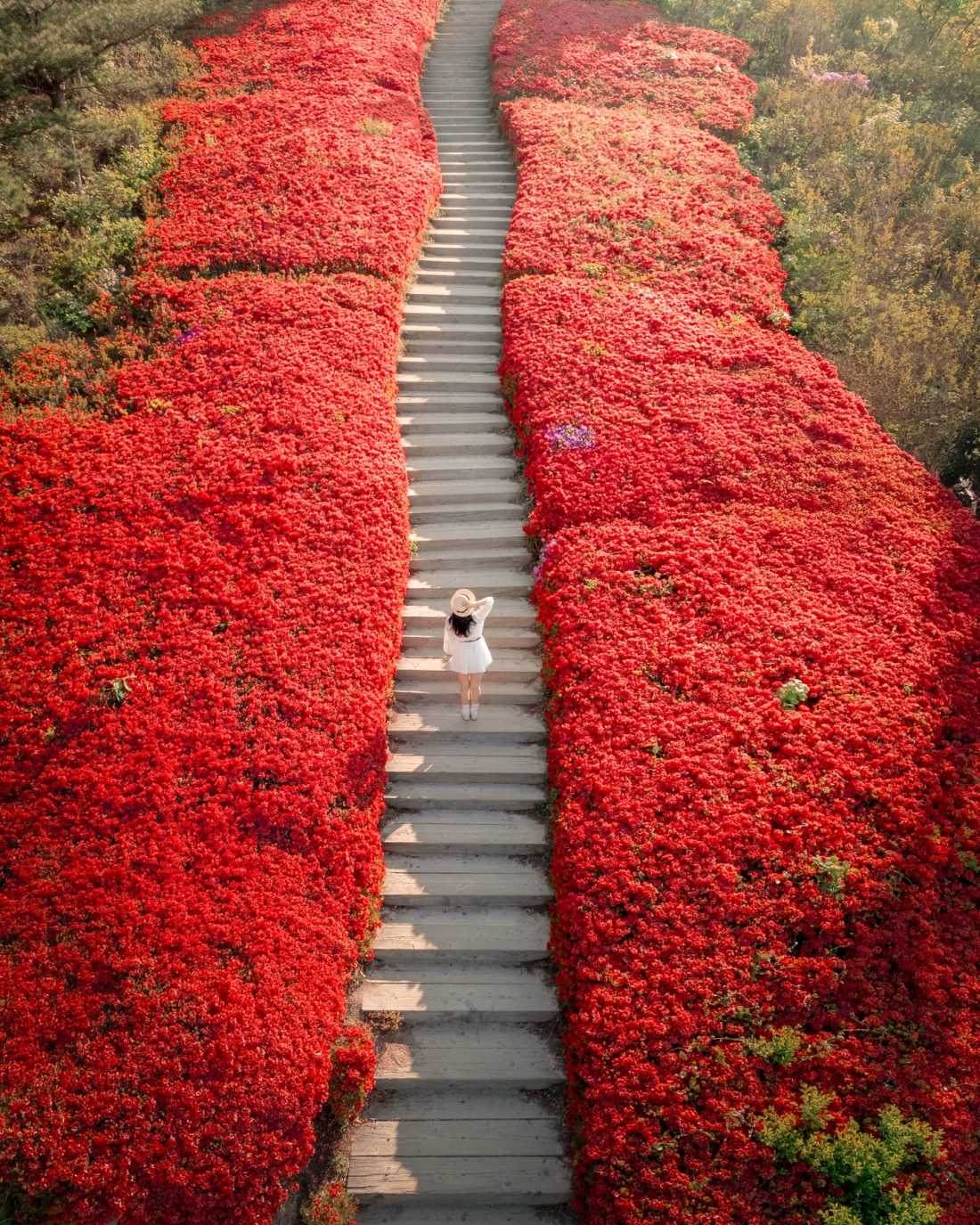 Instagram_43767303_She_Him_1773406534_7