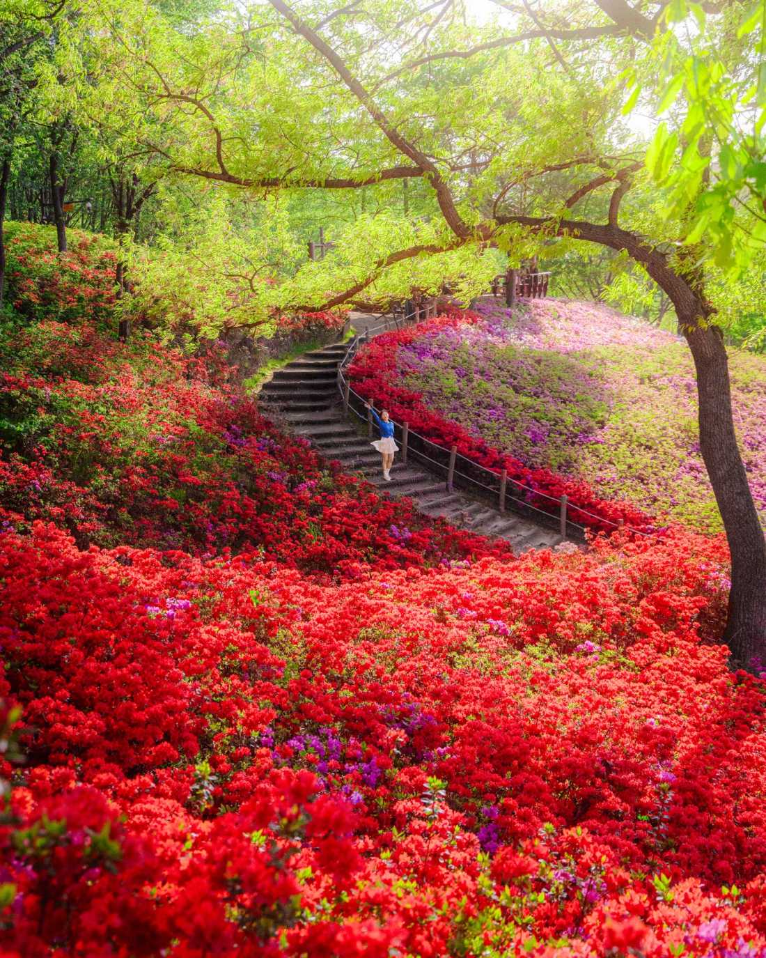 Instagram_43767303_She_Him_1773406534_3