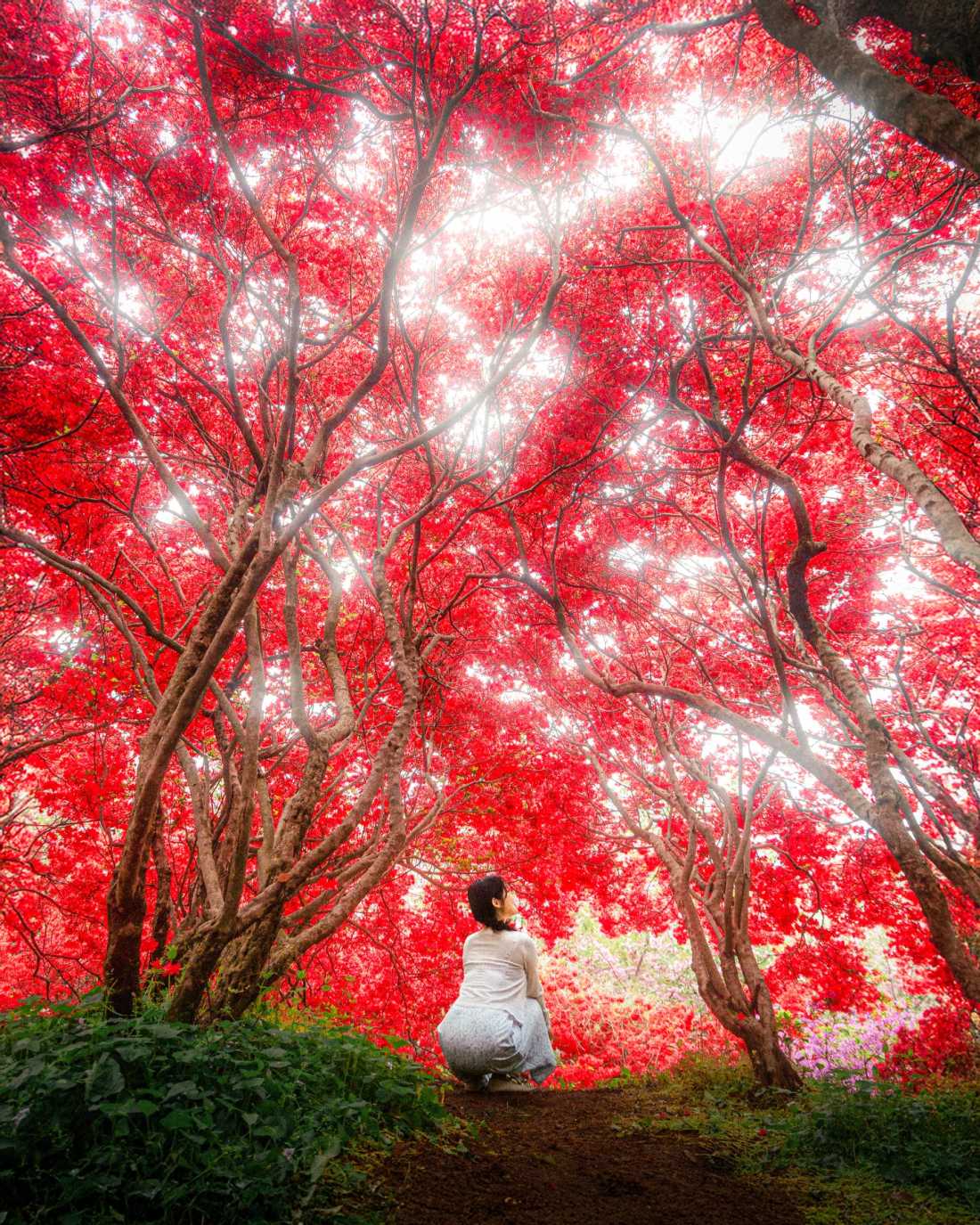 Instagram_43767303_She_Him_1773406534_6