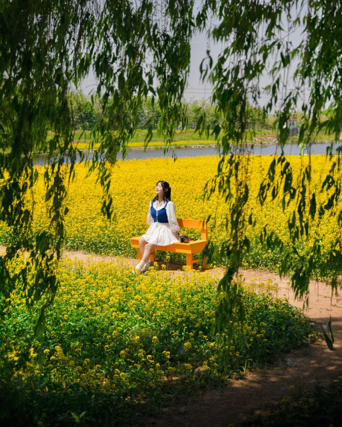 Instagram_43767303_She_Him_1773406534_9