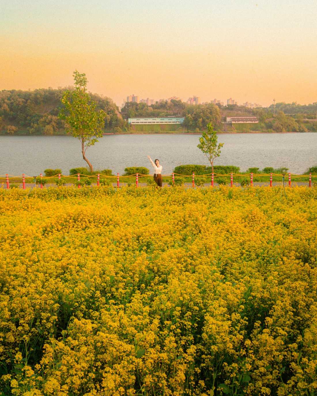 Instagram_43767303_She_Him_1773406534_14