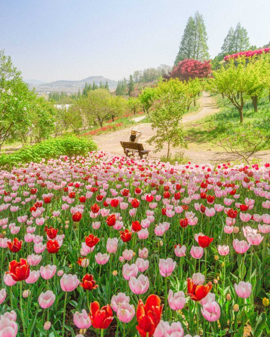 Instagram_43767303_She_Him_1773406534_11