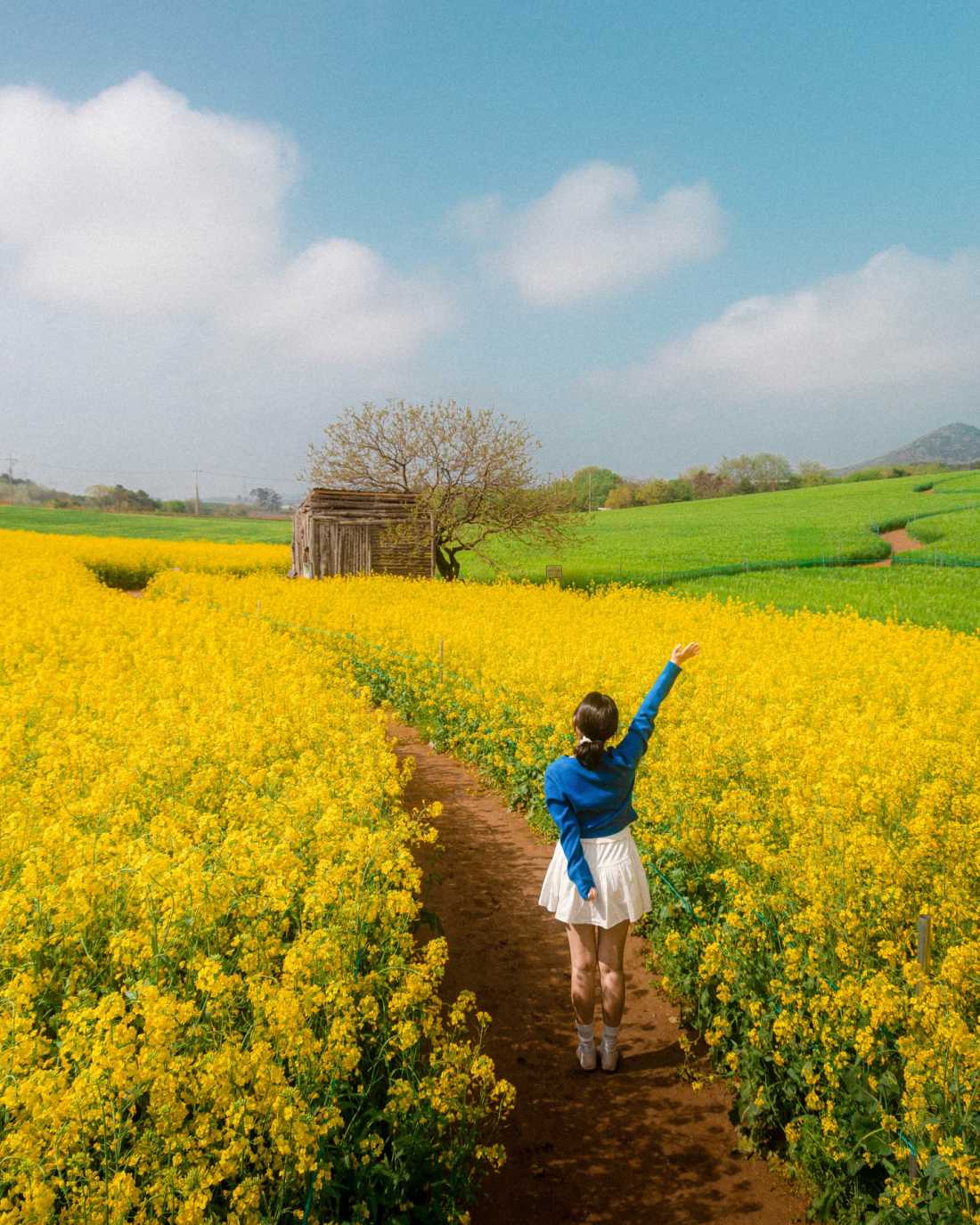 Instagram_43767303_She_Him_1773406534_8