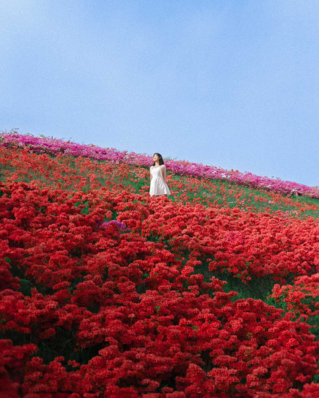 Instagram_43767303_She_Him_1773406534_18