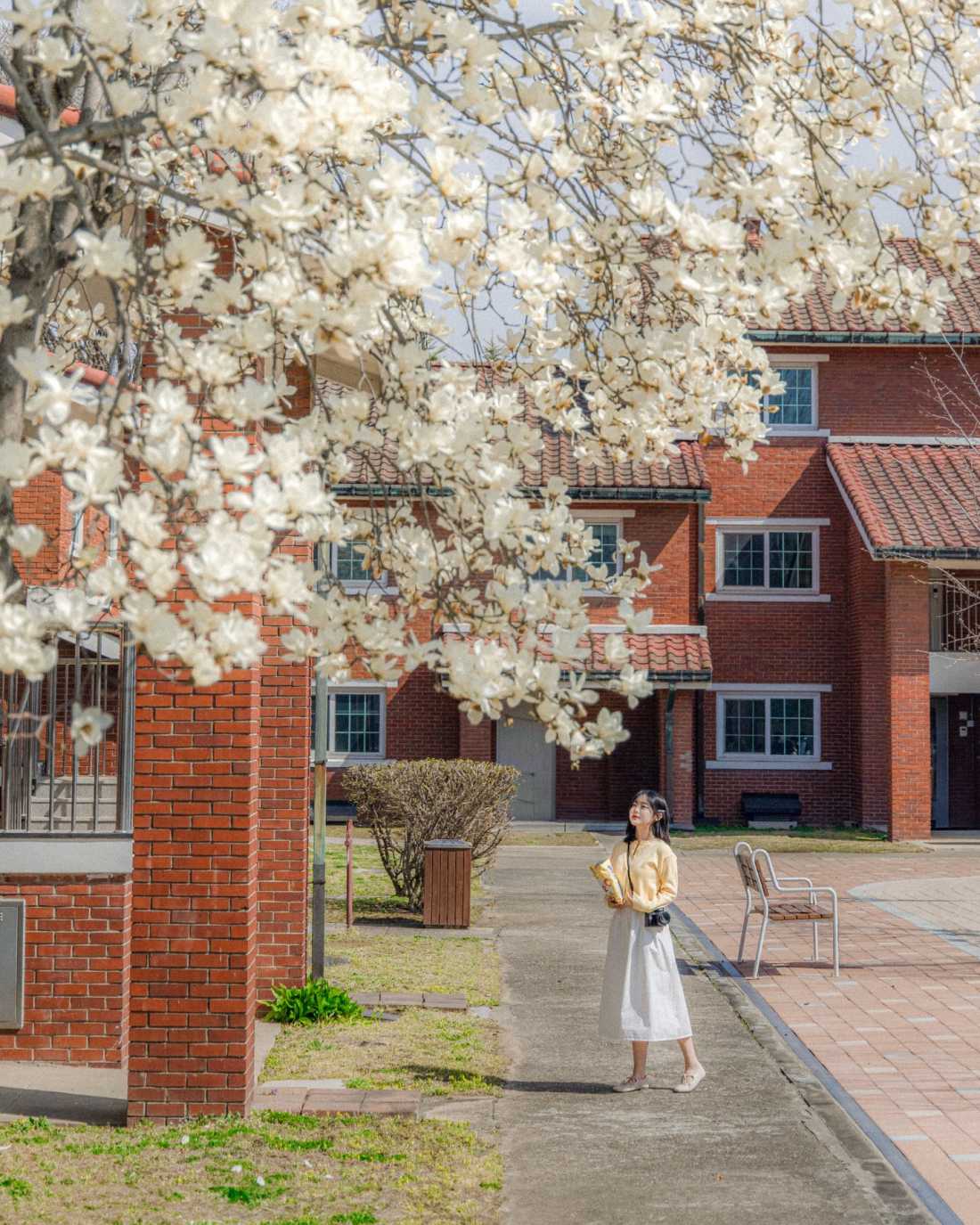 Instagram_43767303_She_Him_1773406534_15