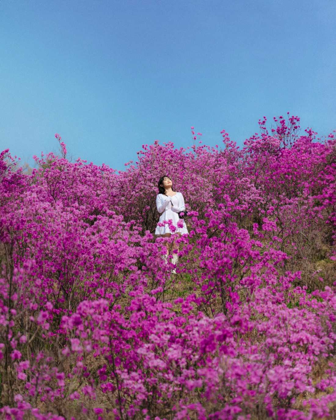 Instagram_43767303_She_Him_1773406534_12