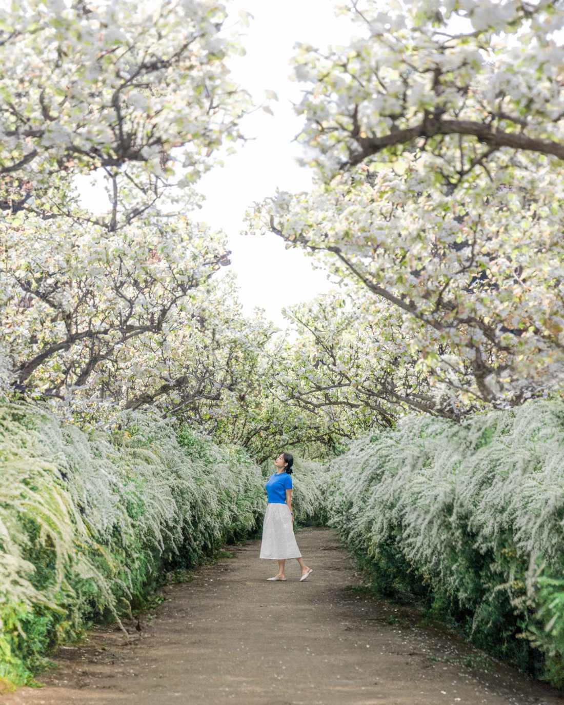 Instagram_43767303_She_Him_1773406534_4