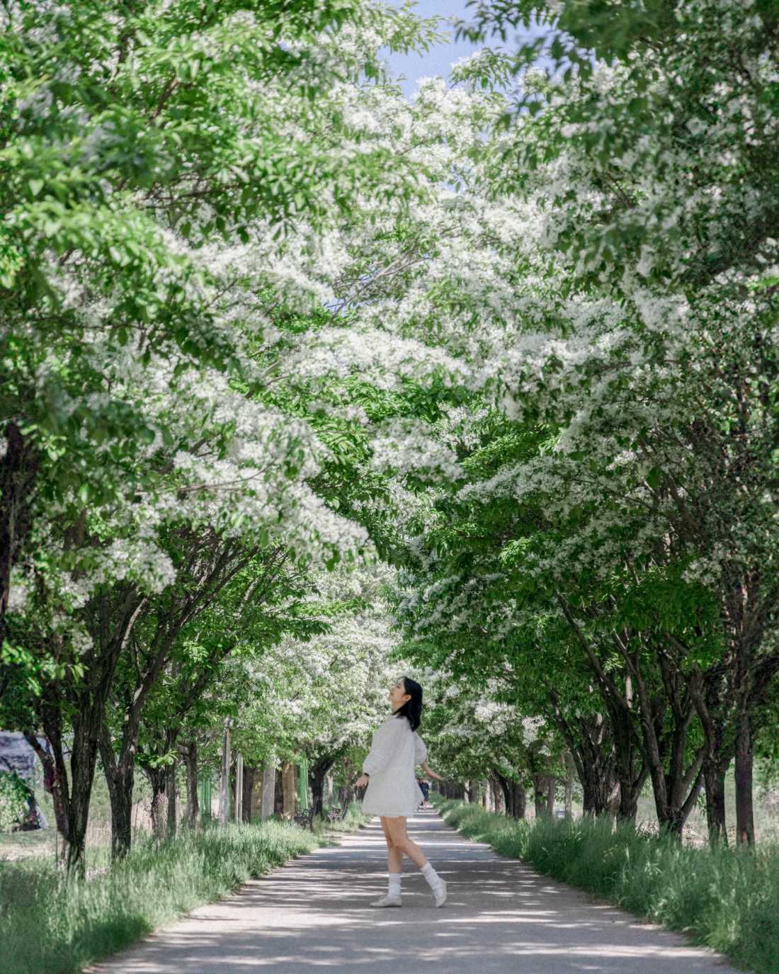 Instagram_43767303_She_Him_1773406534_16