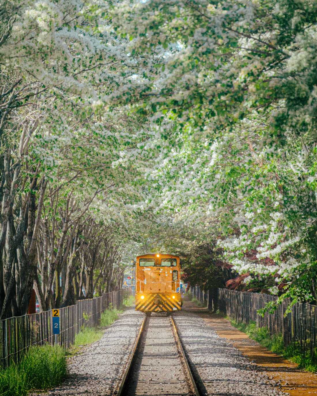 Instagram_43767303_She_Him_1773406534_20