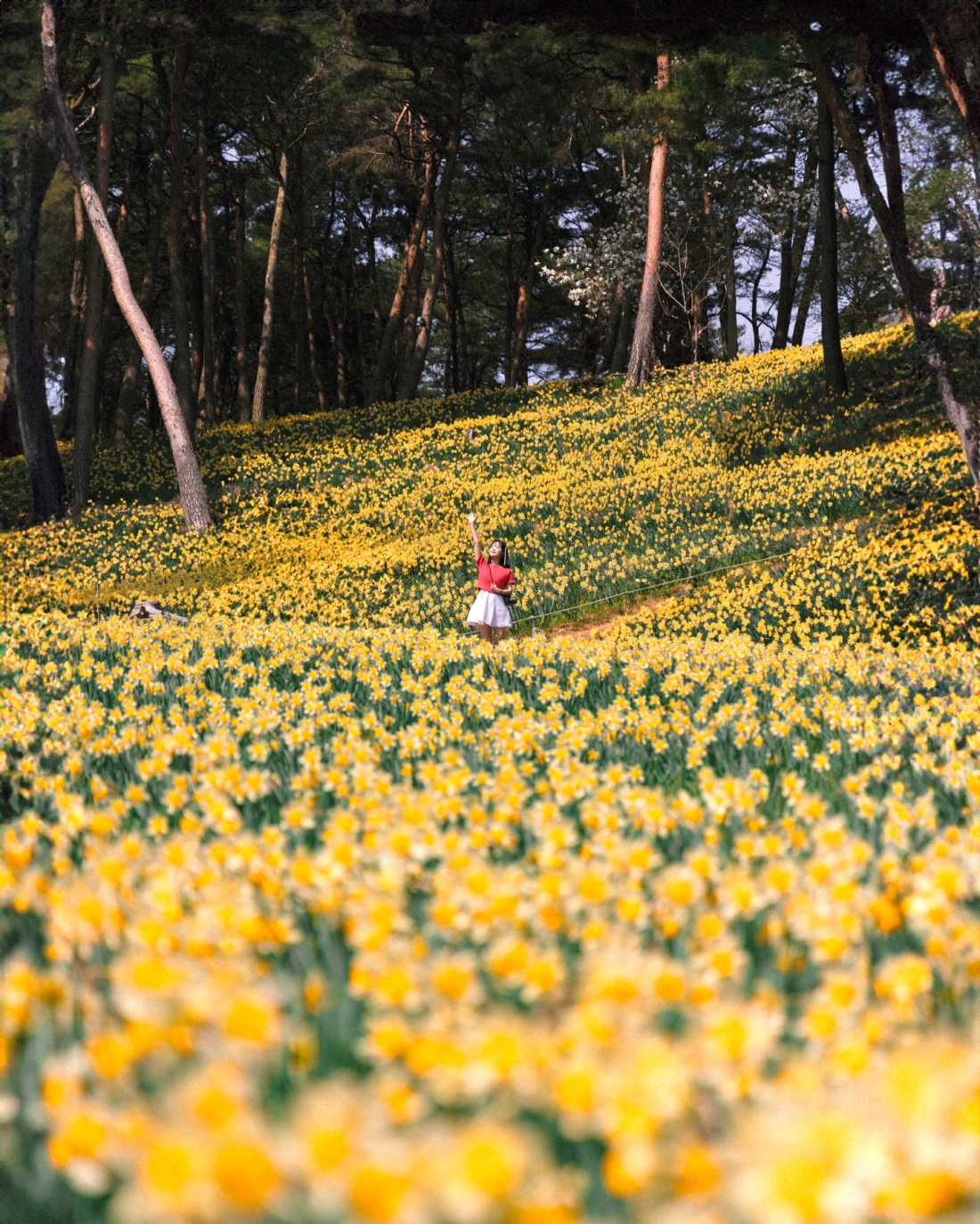 Instagram_43767303_She_Him_1773406534_10