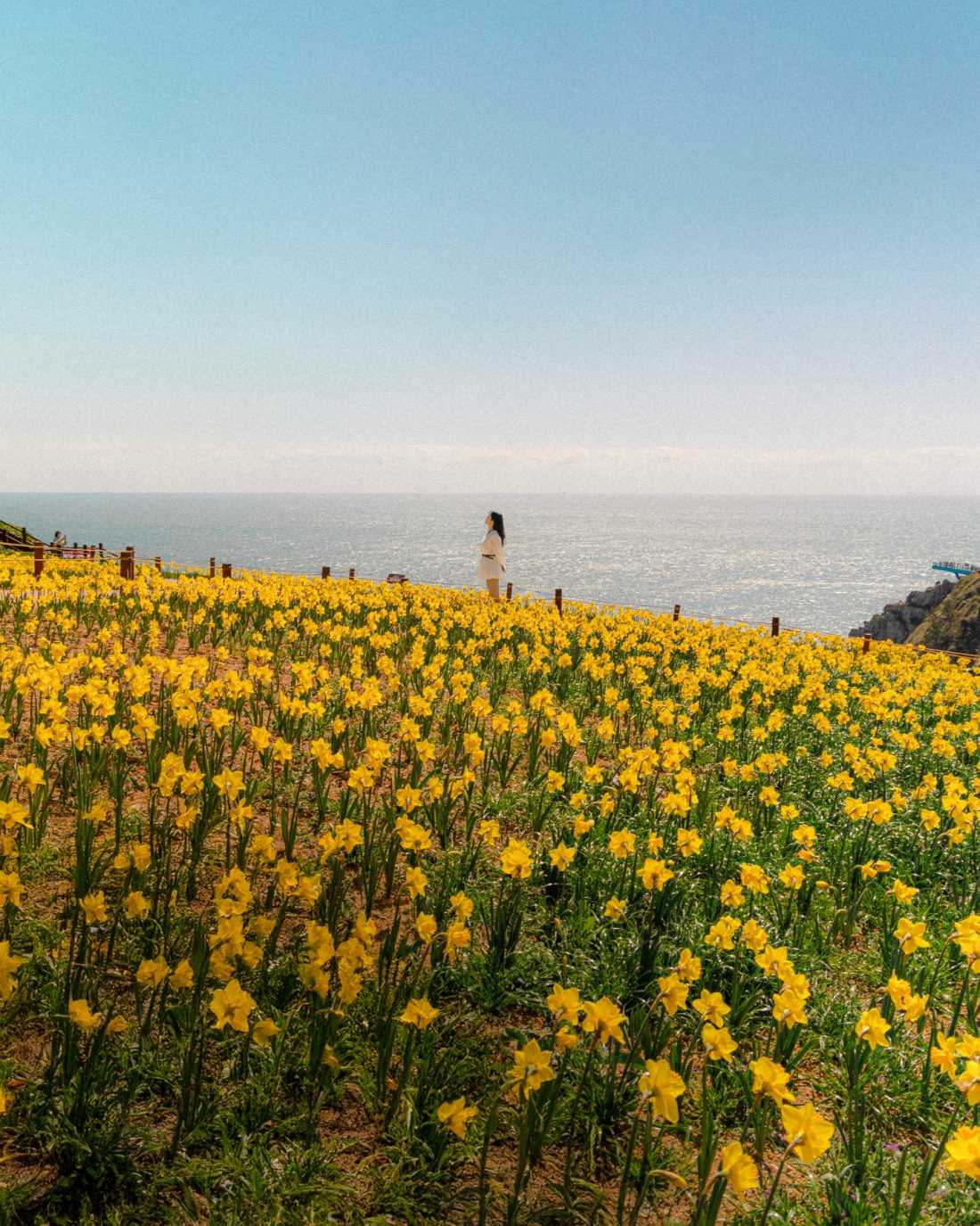 Instagram_43767303_She_Him_1773406534_17