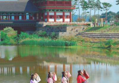 庆州大陵苑&佛国寺&东宫与月池一日游攻略