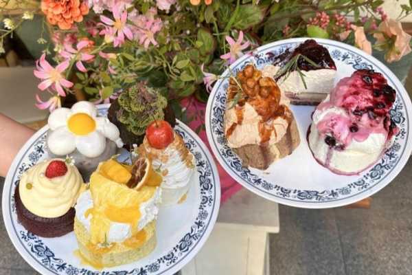 首尔School Walk校园&甜品购物一日游|延世×梨大×弘大+甜品/购物全拿下！