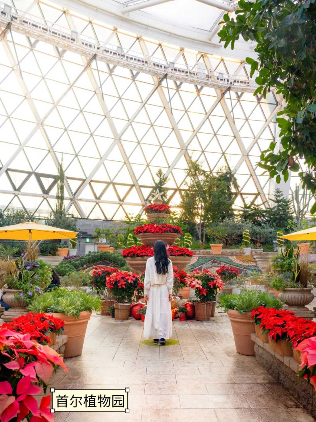 稿定设计-7 稿定设计-7