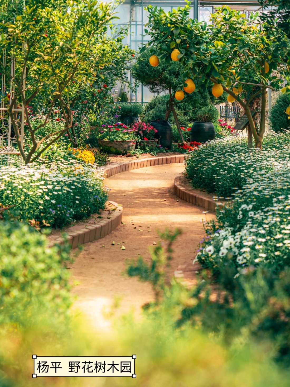 稿定设计-11 稿定设计-11