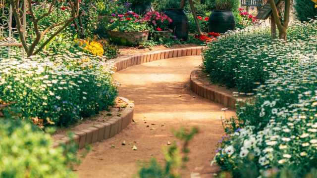 韩国室内植物园｜11家治愈系打卡地合集，避开闭馆雷区，拍照遛弯必看