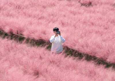 京畿道抱川一日游攻略！酒文化+香草仙境+废矿艺术谷 一天玩出三种人生！