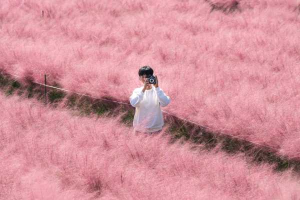 京畿道抱川一日游攻略！酒文化+香草仙境+废矿艺术谷 一天玩出三种人生！